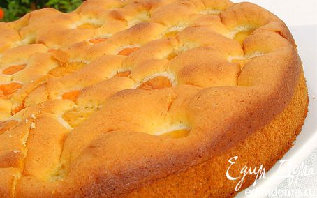 Рецепт Бисквитный пирог с медом и абрикосами
