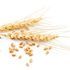пшеница со вкусом карамели ТМ «ОГО»