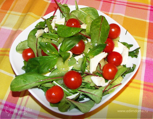 Овощной салат с базиликом и моцареллой