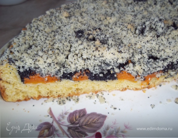 Пирог творожный с абрикосово-маковой начинкой