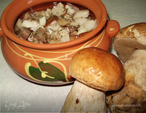 Жаркое с белыми грибами, пошаговый рецепт на ккал, фото, ингредиенты - volga
