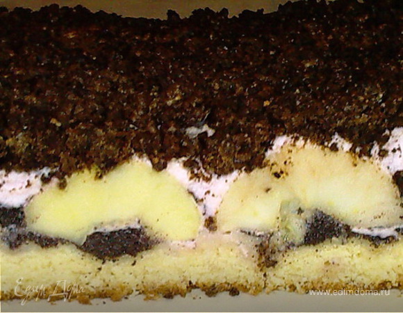 Торт сметанник — вкусный рецепт с фото | sunnyhair.ru