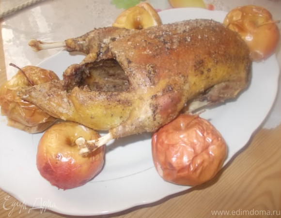 Тушенная утка с яблоками – пошаговый рецепт приготовления с фото