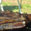 Свиные ребра в медовом маринаде на углях