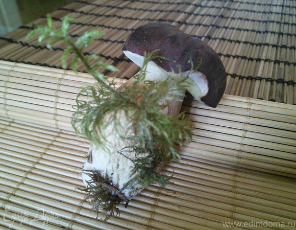 Маринованные грибы: белые, моховики