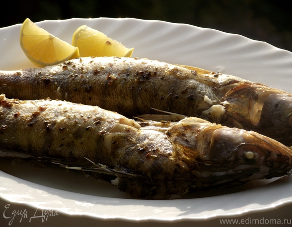 Приготовить рыбу судак в духовке: рецепт, советы и время приготовления