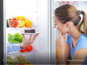 Холодильник – друг человека