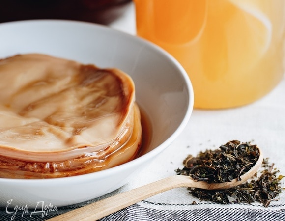 Как приготовить напиток из чайного гриба: простой рецепт и полезные свойства