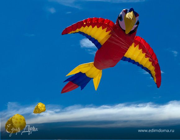 Фестиваль воздушных змеев «Пестрое небо» в «Царицыно»!