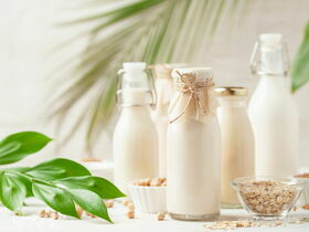 Напиток здоровья: готовим растительное молоко в домашних условиях