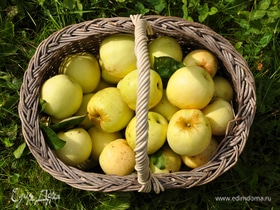 Диетолог рассказала, какие яблоки лучше всего помогают при похудении