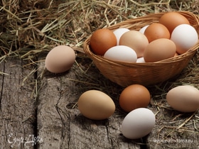 Куриные яйца могут быть опасны: эндокринолог назвал причины