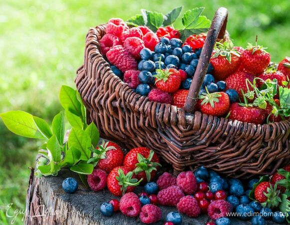 Эти три ягоды — самые лучшие антиоксиданты: доказывает врач 03.11.22