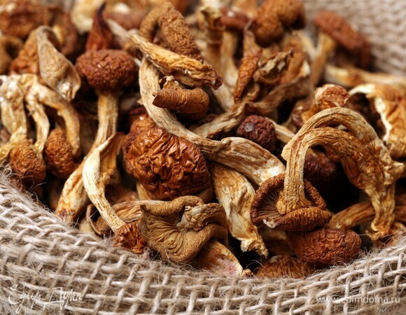 Как долго вымачивать сушеные грибы перед готовкой? Ответят микологи