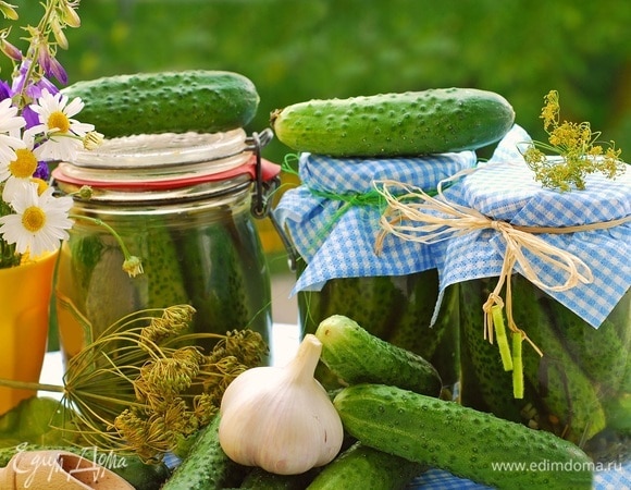 Маринованная капуста со свеклой и горчицей – кулинарный рецепт