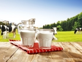 Елена Малышева призвала кипятить парное молоко перед употреблением — вот почему