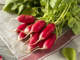Как хранить редис — нашли простые способы сберечь хруст и вкус на недели вперед