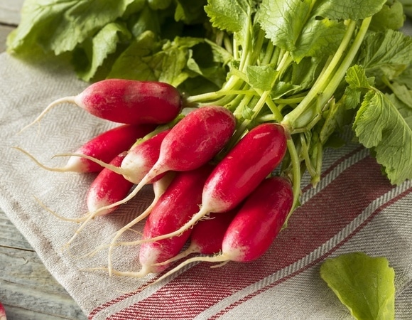 Как хранить редис — нашли простые способы сберечь хруст и вкус на недели вперед