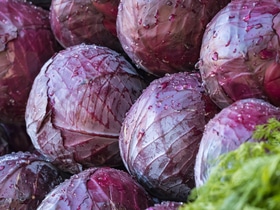 Цвет имеет значение: какая капуста идеально подходит для запекания дольками? Цвет имеет значение: какая капуста идеально подходит для запекания дольками?