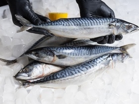 Вне конкуренции: названа самая популярная рыба у россиян