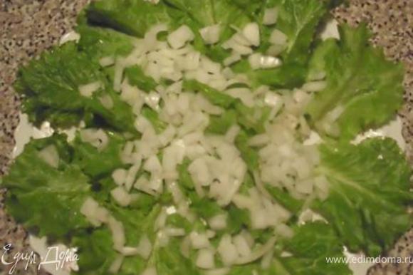 На большое блюдо выложить листья салата, сверху лук.