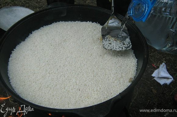 Выложите ровным слоем рис.