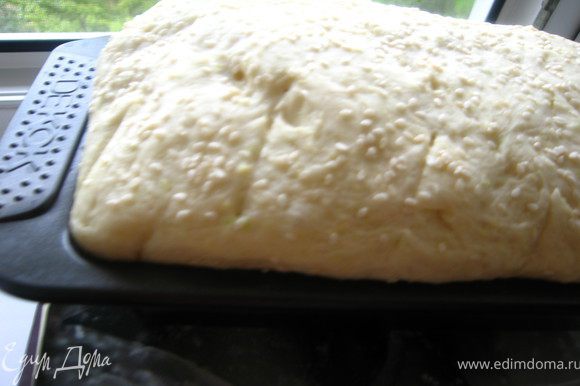 Из второй части формируем хлеб. Я просто выложила тесто в смазанную оливковым маслом форму для кекса. Мне нравится прямоугольная форма хлеба.Оставляем для подъема, смазываем маслом и посыпаем кунжутом.