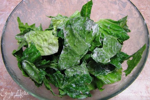 Порвите листья салата и заправьте его соусом Цезарь, перемешав его руками.