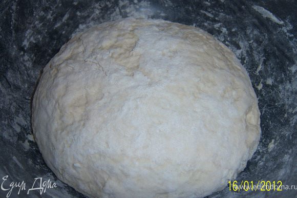 В муку засыпаем дрожжи, перемешиваем, добавляем соль и замешиваем тесто, затем накрываем чашку и кладём в холодильник на 40-50мин.