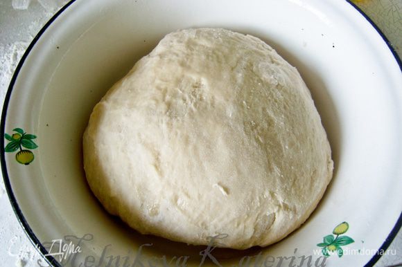 Смазать растительным маслом тару, выложить тесто, накрыть полотенцем, поставить в укромное и теплое место для подхода.