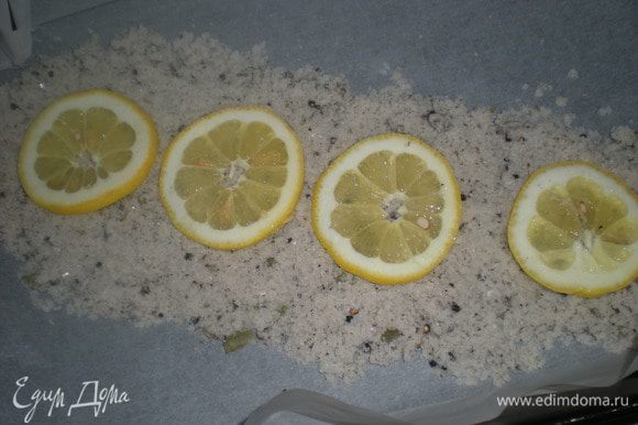 Третью часть соли насыпать на противень,разложить несколько кружков лимона.