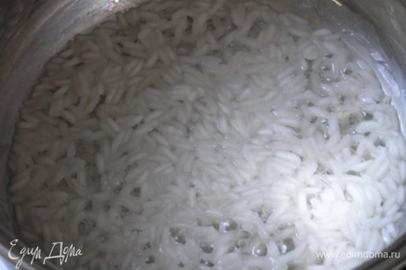 варить, пока рис не впитает всю воду, затем влить молоко, варить до полной готовности риса.