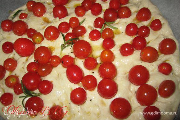 Выложить помидоры, вдавив их в тесто, сверху полить оливковым маслом из помидор.