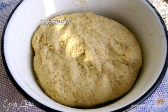 Добавляем фундучную муку, постепенно просеиваем в тесто оставшуюся пшеничную муку. Очень хорошо вымешиваем тесто, оно должно оставаться мягким, но не должно липнуть к рукам.