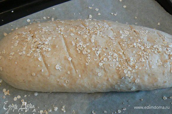 Заранее прогреть духовку на 240°. На хлебе сделать разрезы и выпекать хлеб до готовности минут 30-40. Готовый хлеб остудить на решётке.