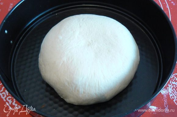 Из выброжженого теста сформируйте круглый хлеб,положите швом вниз,накройте пластиковым пакетом и отправьте на расстойку на 35-45 мин. до увеличения размера в два раза