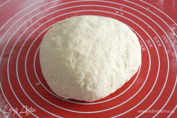 замесить гладкое тесто, сформовать его в шар, переложить в миску и убрать в теплое место на 1 час.