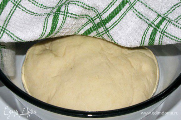 Положить тесто в смазанную маслом миску, накрыть пленкой и оставить в теплом месте на 1 час.