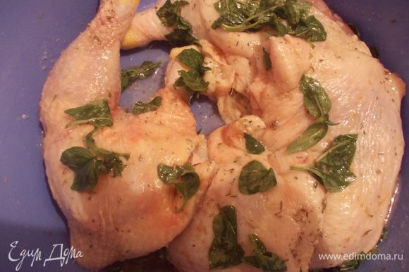 Мясо курицы посолить,поперчить,добавить специи и хорошо размять руками базилик. Налить немного масла и оставить на пол часика.