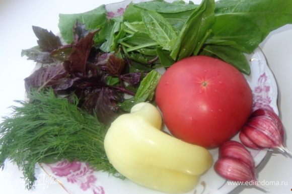 Тщательно промыть всю зелень и овощи, помидоры и болгарский перец порезать на кусочки. Чеснок почистить.
