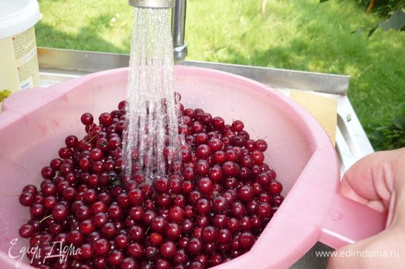 Сначала промойте ягоды в тазу или ведре. А потом под проточной водой. Поверхность ягод шероховатая и притягивает уличную пыль.