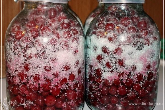 наливка из вишни в домашних условиях простой на водке рецепт с косточками сахаром | Дзен