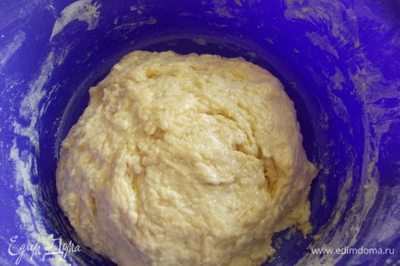 Просеиваем муку, добавляем сахар, яйца, растопленное сливочное масло. соль и опару. Замешиваем тесто, накрываем полотенцем и ставим в теплое место на 2-3 часа.
