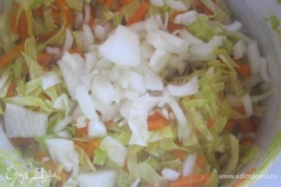 К похлебке добавить нарезанный лук. Влить бульон. Накрыть крышкой и варить 20-25 минут, до мягкости капусты.