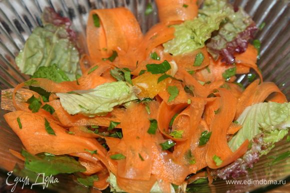морковь нарезаем тоненькими пластинами, петрушку рубим, два колечка апельсина разбираем на кусочки, три-четыре салатных листа нарываем крупно и все смешиваем.