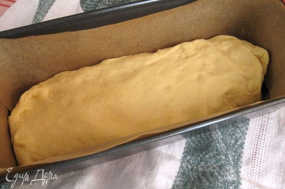 Обмять тесто, форму для выпечки застелить пекарской бумагой (дно и борта), поместить туда равномерно тесто. Оставить на 1 час.