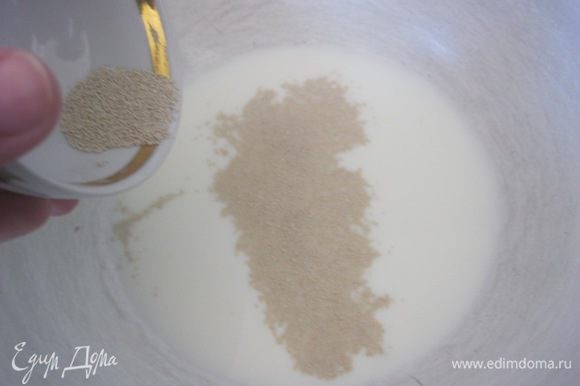 В теплом молоке растворить дрожжи, сахар и соль. Оставить на 15-20 минут, до появления " шапочки".
