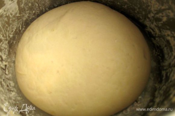 Выложить тесто в смазанную маслом миску (кастрюлю), накрыть полотенцем и дать подойти в теплом месте в течение 1 часа.