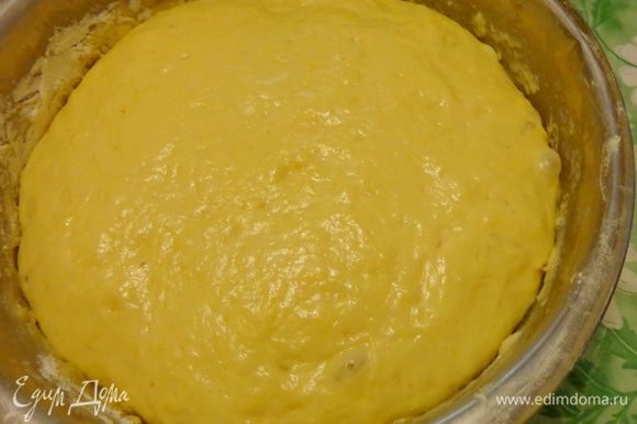 Для булочек сделать тесто: развести дрожжи в теплом молоке, дать им ожить. Смешать яйцо с сыром, солью, медом и влить дрожжи. Всыпать по частям муку и замесить мягкое эластичное тесто. Дать ему подойти и увеличиться вдвое.