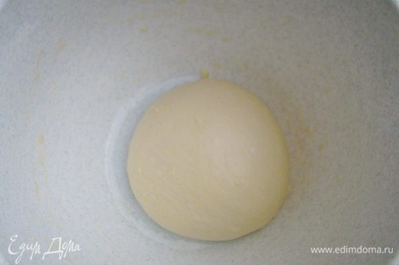 Тщательно вымешанное тесто скатать в шар и выложить в смазанную растительным маслом миску.